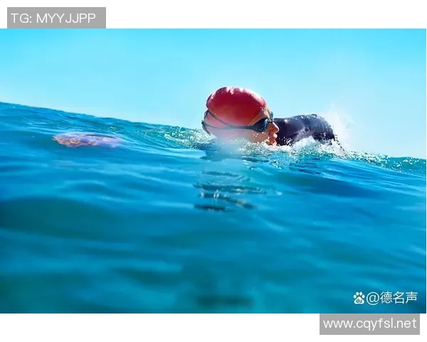 激情碰撞泳池边，畅游世界游泳争霸赛全程精彩回顾